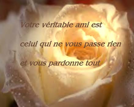 le vrai ami