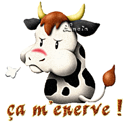 ca m enerve
